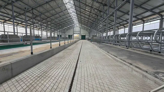 Промислова підлога в ЕтноПарку «Агроленд» на 7 000 м² — Тернопіль
